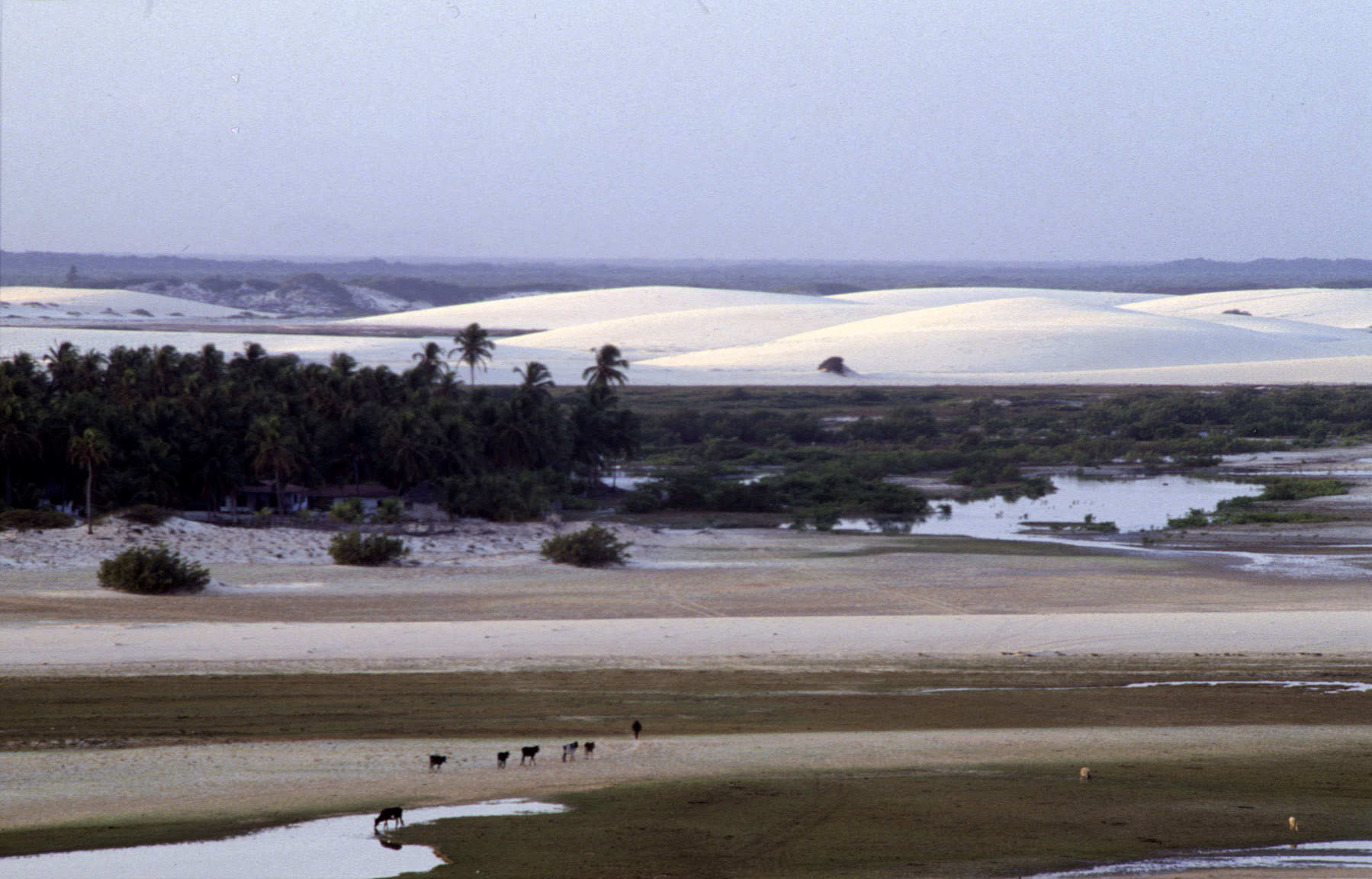 brasilien-19