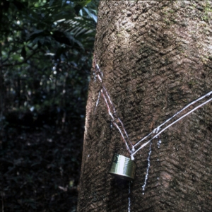 brasilien-42