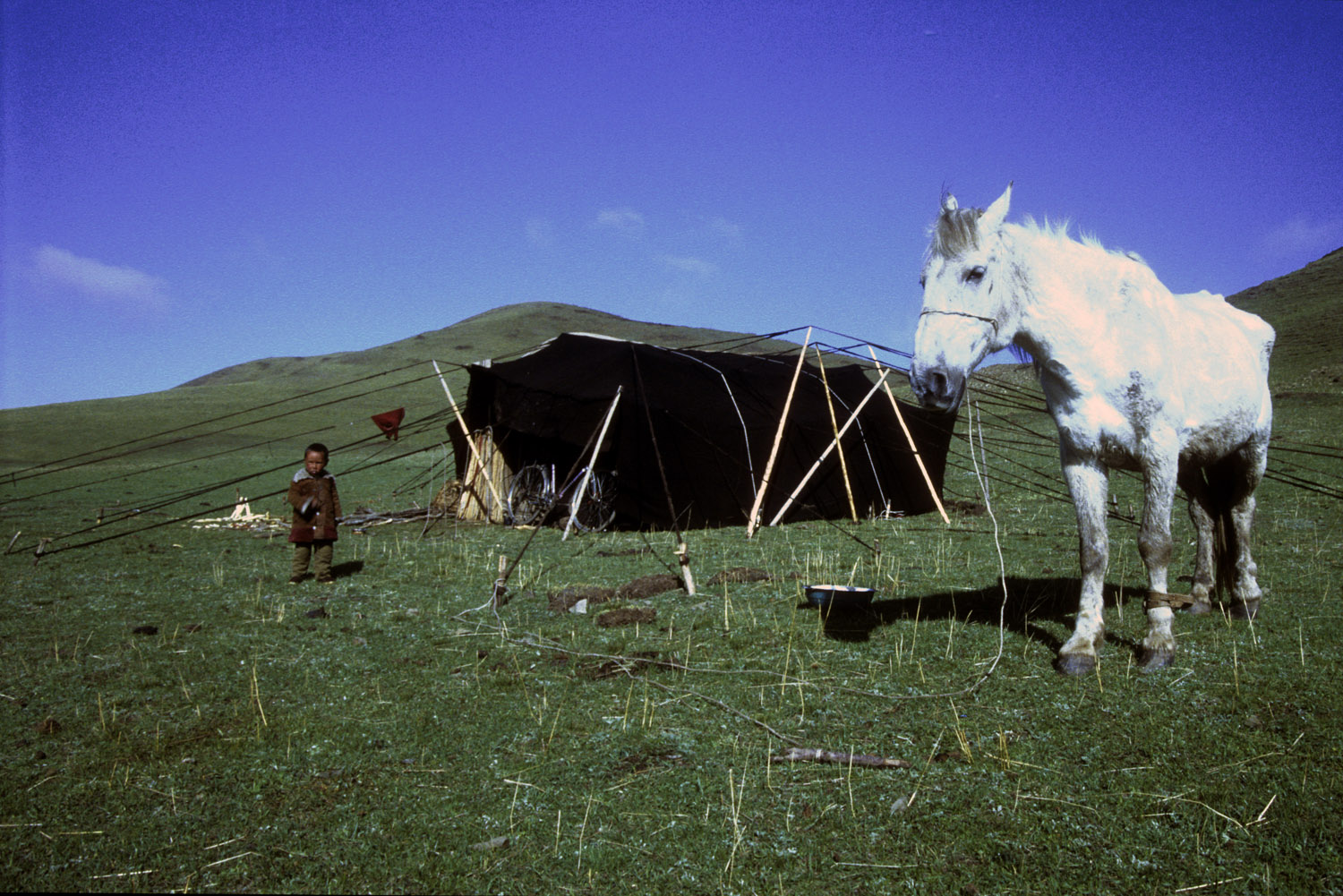 china-58