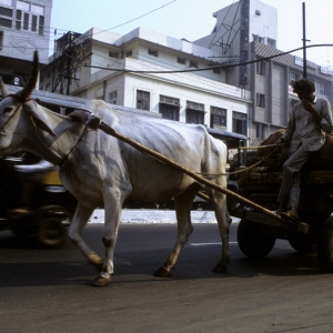 indien-70