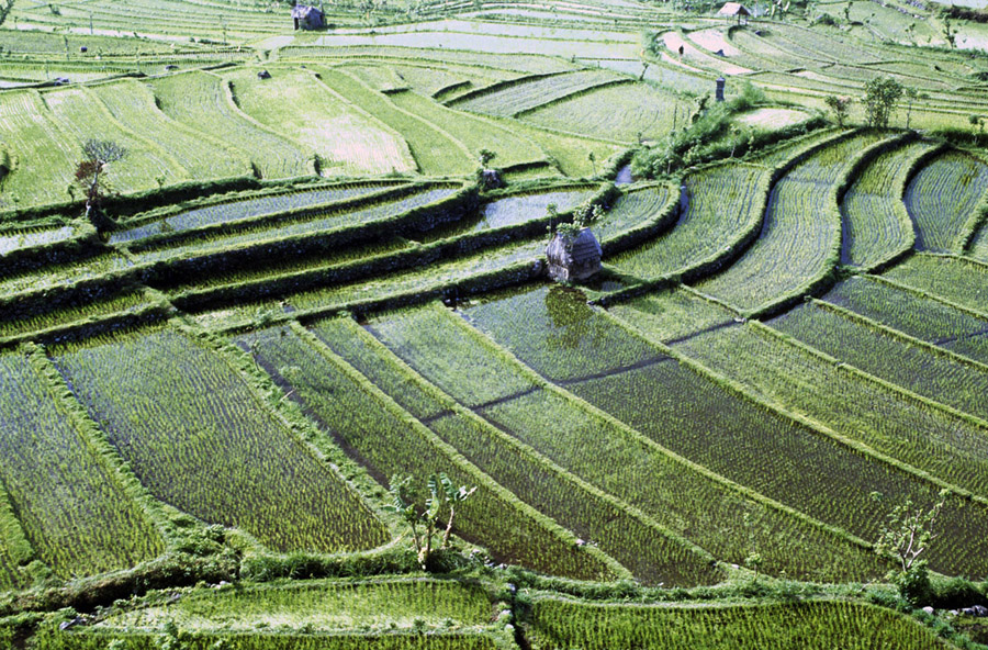 indonesien-28