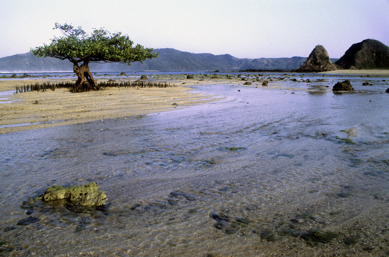 indonesien-8