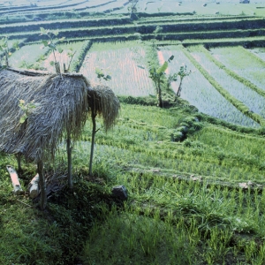 indonesien-27