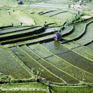 indonesien-28