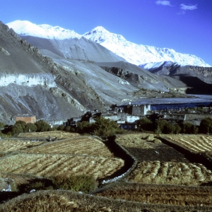 nepal-8