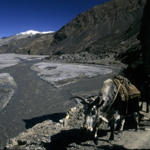 nepal-9