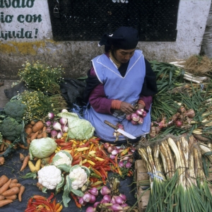 peru-bolivien-equador-18