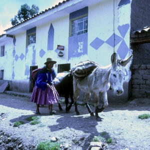 peru-bolivien-equador-25