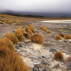 peru-bolivien-equador-79