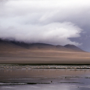 peru-bolivien-equador-81