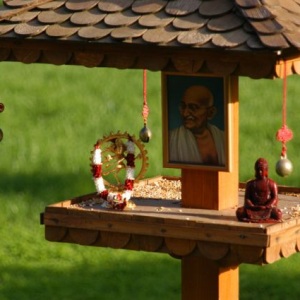shanti-austria-16