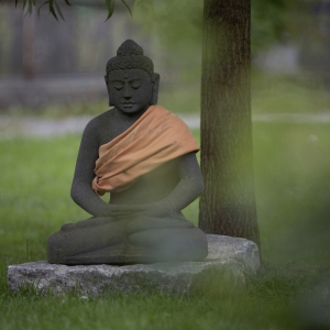 shanti-austria-20