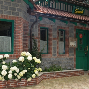 shanti-austria-3
