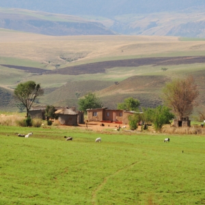 sudafrika-30